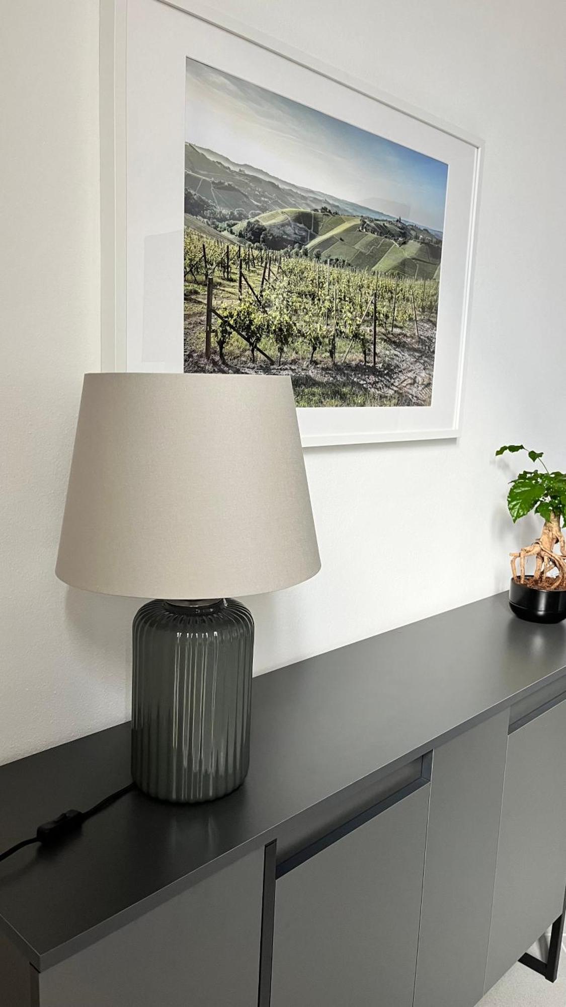 San Martino Holiday Apartments Nizza Monferrato Eksteriør bilde